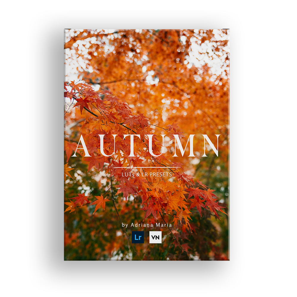 Product packaging of Autumn Fall Themed Lightroom Presets & Video LUTS