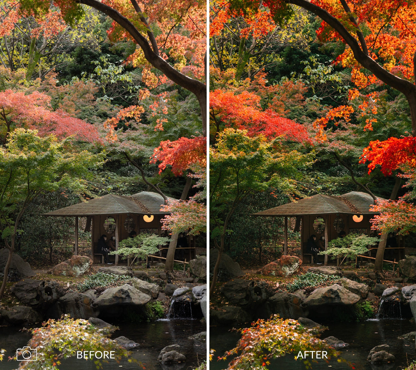 Side-by-side comparison of a garden scene with autumn foliage before and after using Autumn Lightroom Presets.