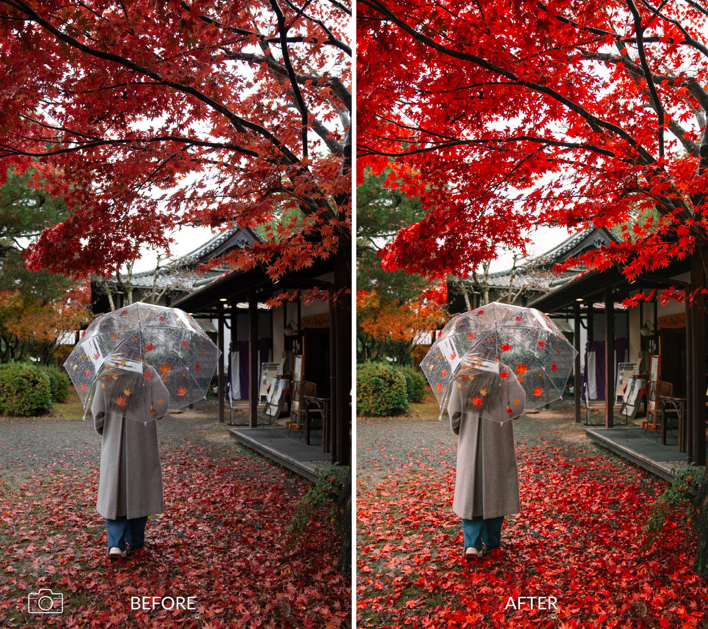Before and after comparison of a person with an umbrella under red leaves in Kyoto Japan.