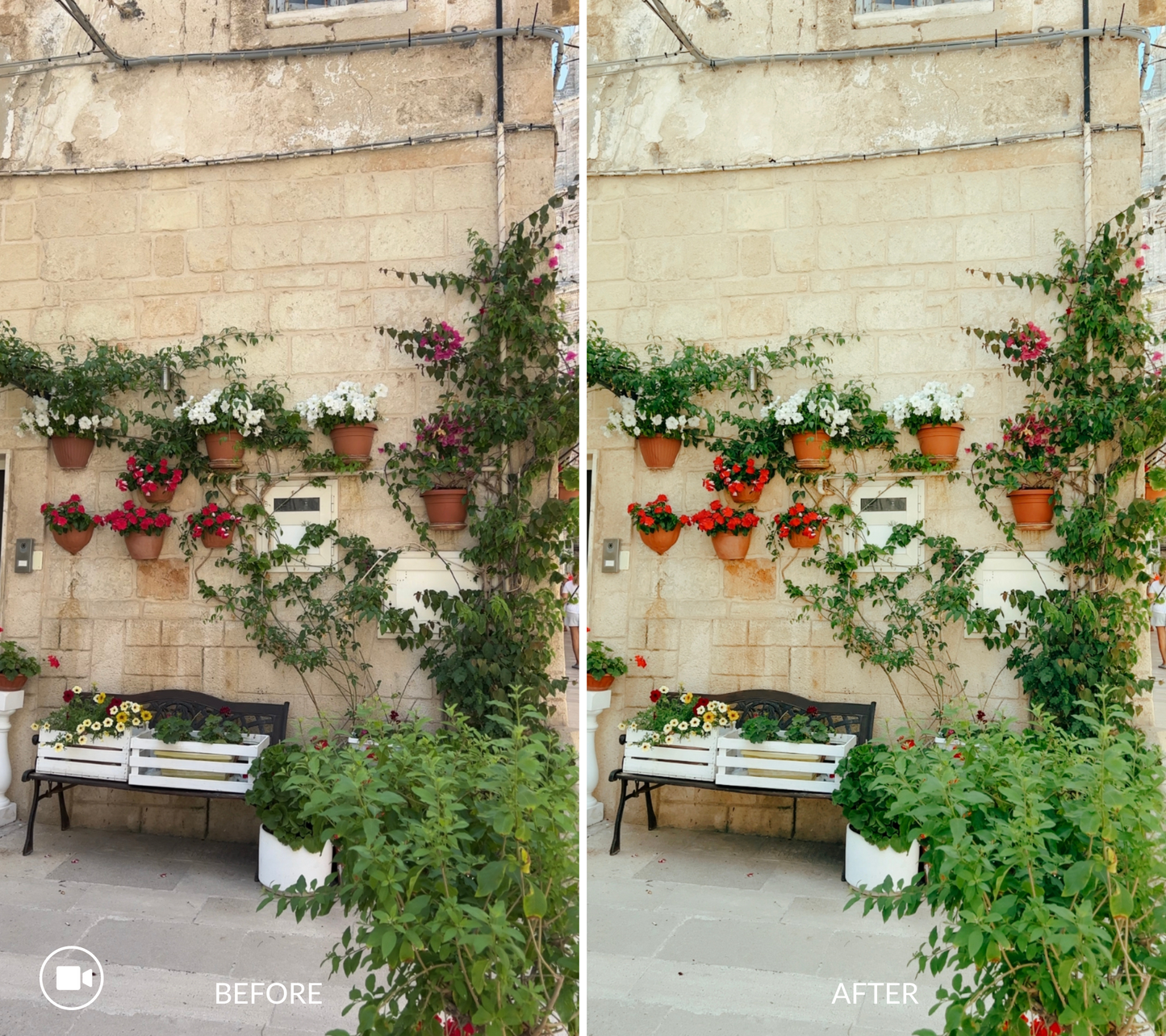 kodak Film LUTs and video filters