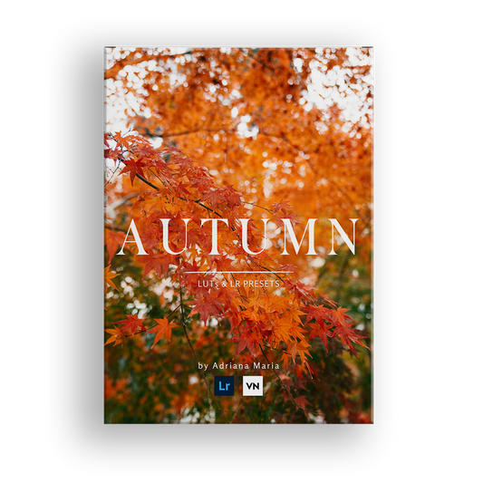 Product packaging of Autumn Fall Themed Lightroom Presets & Video LUTS