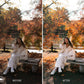 Before and after comparison using Fall lightroom presetsof a woman sitting on a bench in an autumn park.