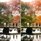 Before and after comparison of a scenic autumn landscape in Japan with people walking on a bridge over water.