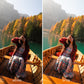Before and after comparison of a woman in a boat on a lake with autumn trees.