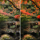 Side-by-side comparison of a garden scene with autumn foliage before and after using Autumn Lightroom Presets.