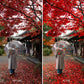 Before and after comparison of a person with an umbrella under red leaves in Kyoto Japan.