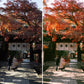 Side-by-side comparison of a japanese temple scene with and without color enhancement using lightroom presets