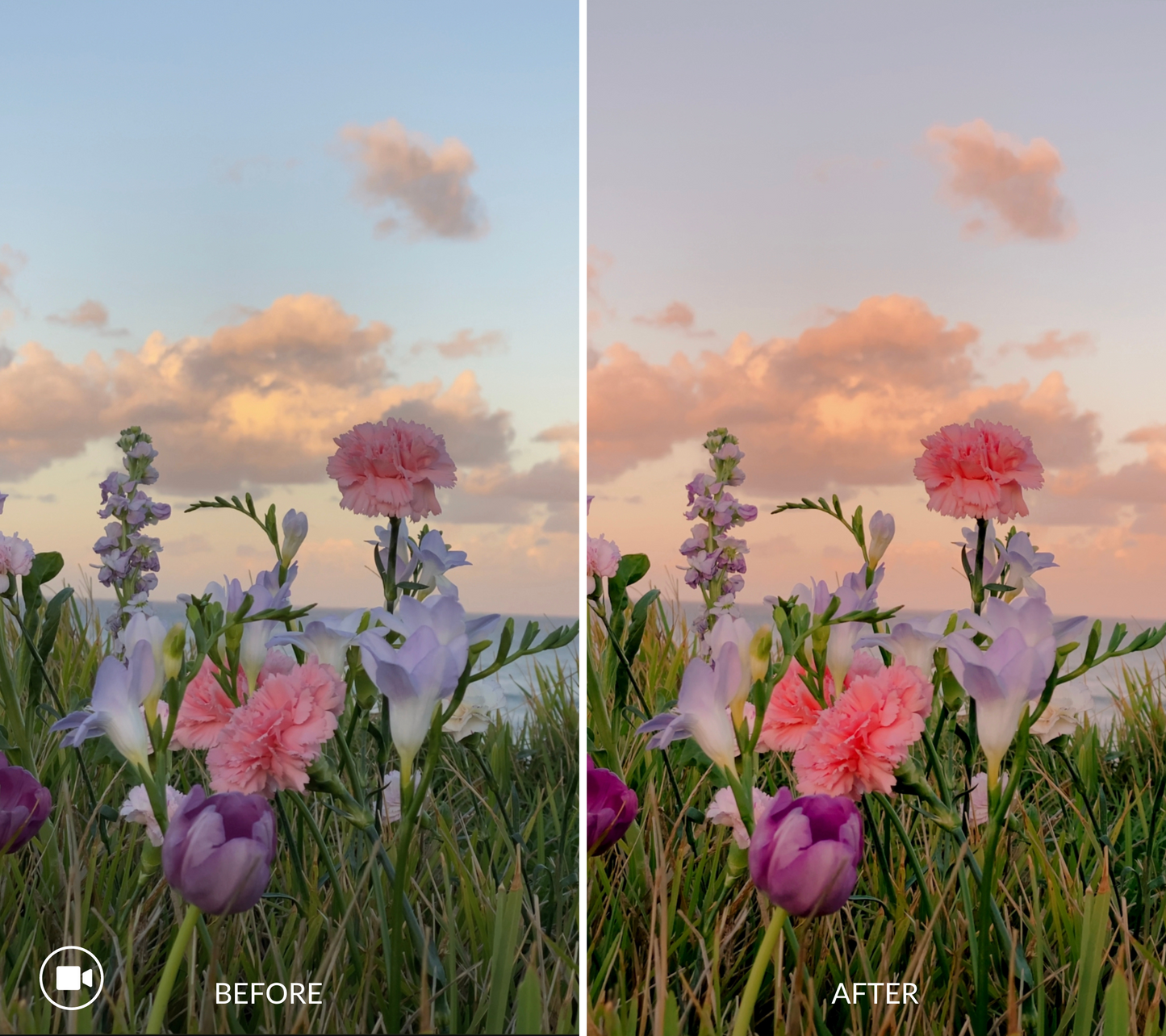 bright and airy iphone LUTs (video filters)