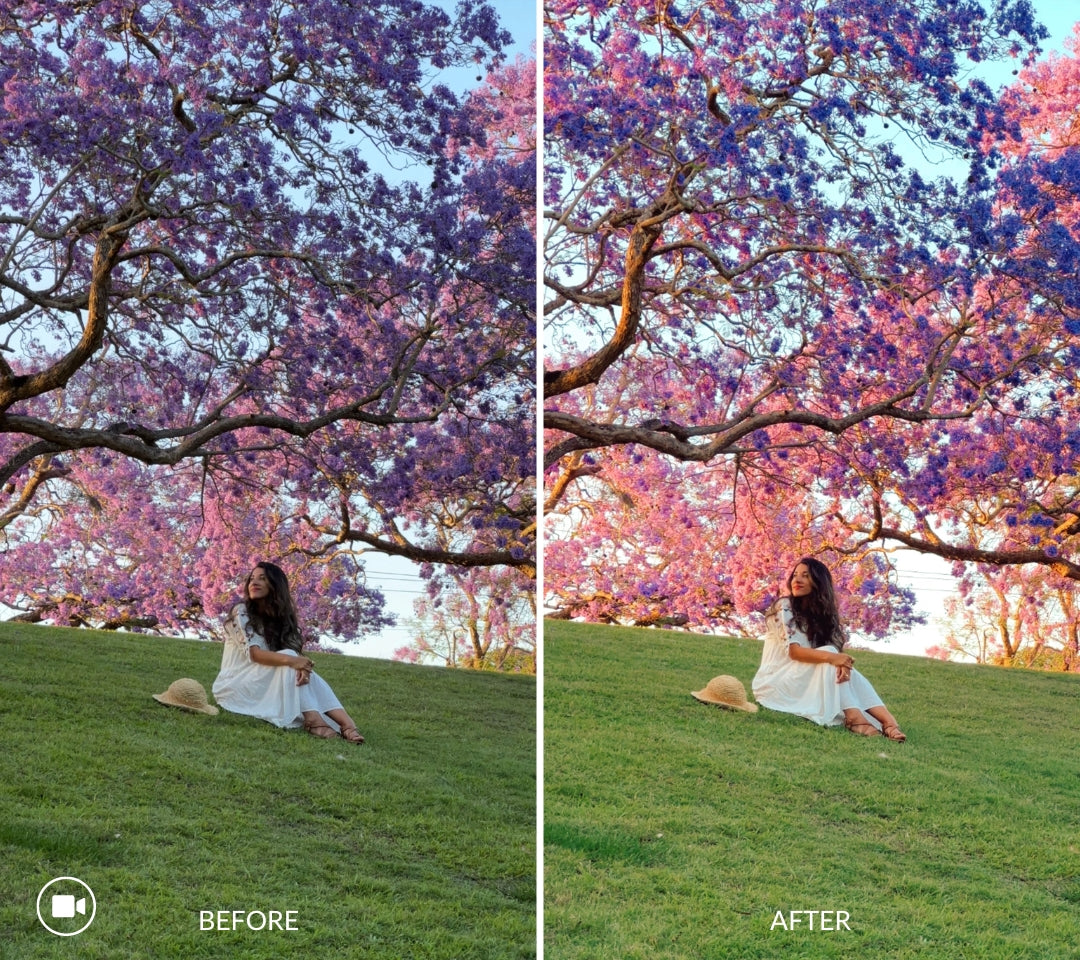 iPhone LUTs and mobile video filters collection