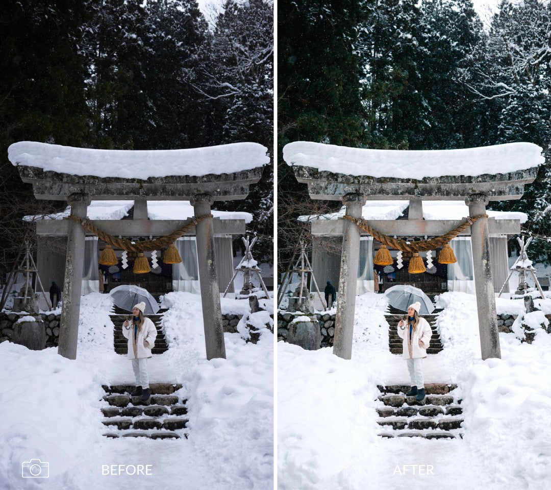 winter snow presets